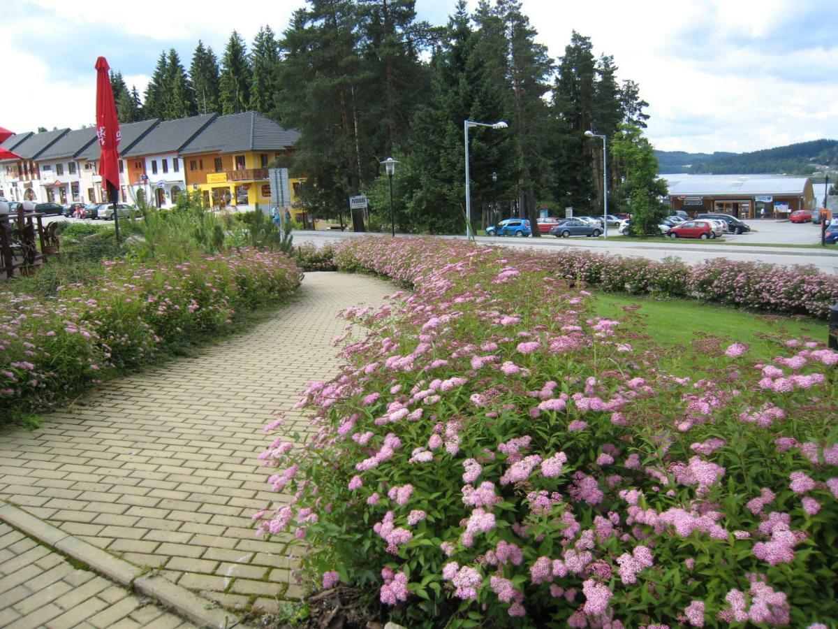 Apartman Riviera Apartment Lipno nad Vltavou Exterior photo